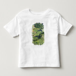 T-shirt Ásia, China, Yunnan, Yuanyang. Padrão de verde