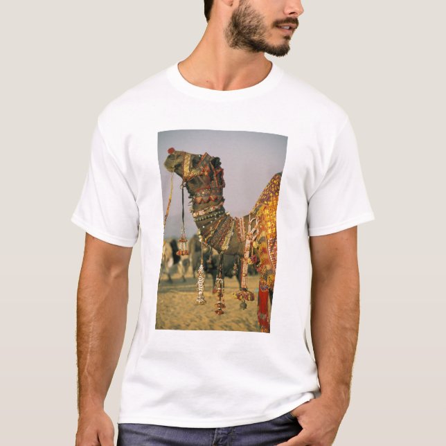 T-shirt Ásia, Índia, Pushkar. Camelo Shamu, Pushkar (Frente)