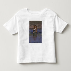T-shirt ÁSIA, Índia Tigre andando pela água