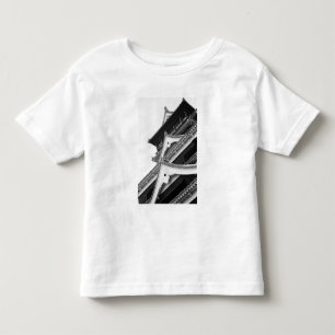 T-shirt Ásia, Japão, Kumamoto. Detalhe do Kumamoto,