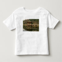 Ásia, Japão, Nara, Templo em Nara