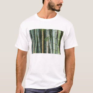 T-shirt Ásia, Japão, Quioto, Arashiyama, Sagano, Bambu