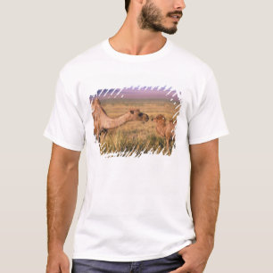 T-shirt Ásia, Mongólia, Deserto de Gobi, Grande Gobi