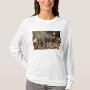 T-shirt Ásia, Tailândia, Lampang Curvando-se com chapéu - 