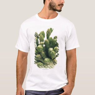 T-shirt Aspargo verde
