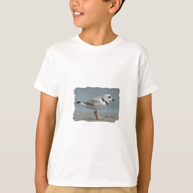 T-shirt Assateague Island Piping Plover (Frente)