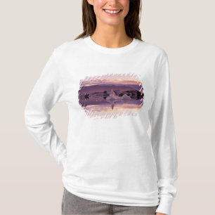 T-shirt Atlântico Norte, Islândia, Breioamerkurjokull