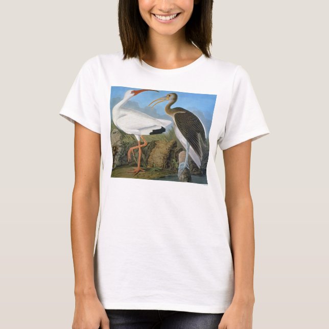 T-shirt Áudio: Ibis Branco (Frente)