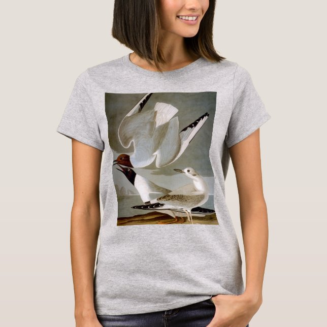 T-shirt Audubon: A gaivota de Bonaparte (Frente)
