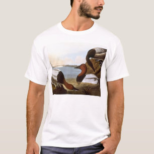 T-shirt Audubon: Canvasback