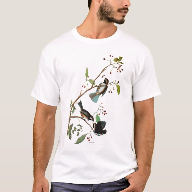T-shirt Audubon: Chickadee (Frente)