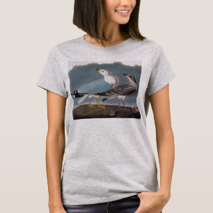 T-shirt Audubon: Gaivota Anel-Faturada