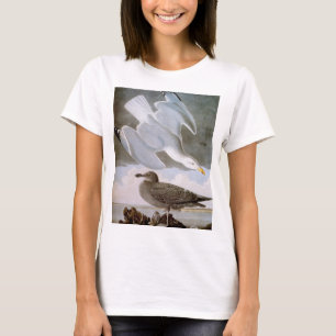 T-shirt Audubon: Gaivota de arenques