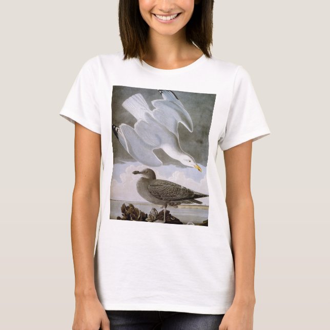 T-shirt Audubon: Gaivota de arenques (Frente)
