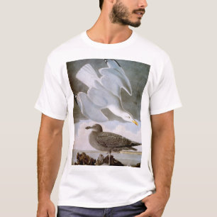 T-shirt Audubon: Gaivota de arenques