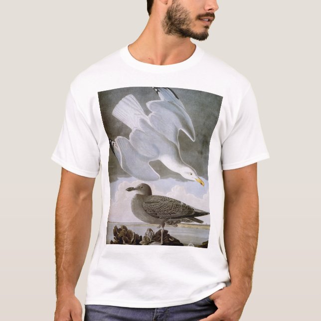 T-shirt Audubon: Gaivota de arenques (Frente)