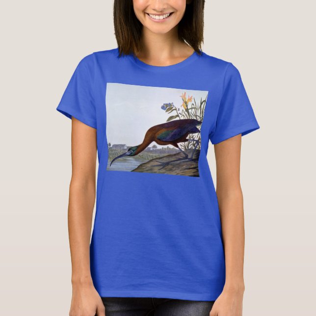 T-shirt Audubon: Ibis brilhante (Frente)