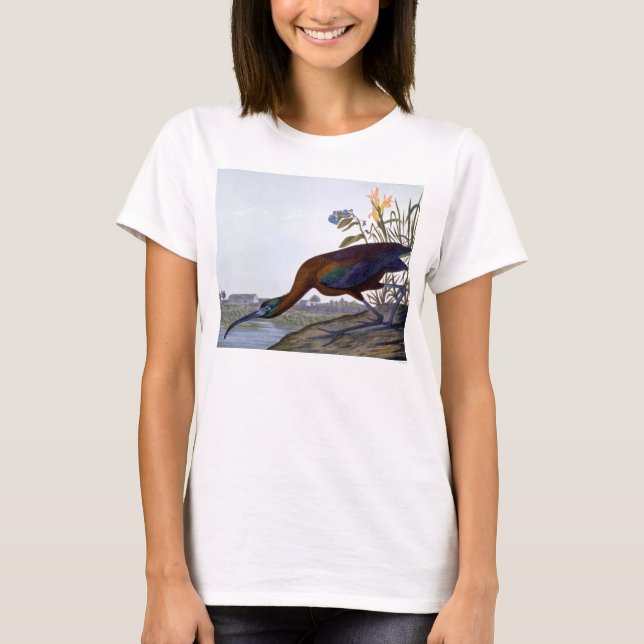 T-shirt Audubon: Íbis lustrosos (Frente)