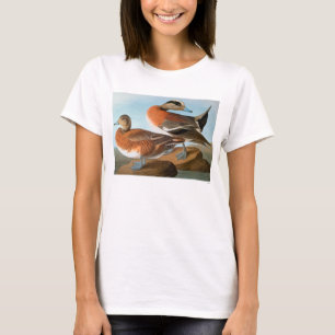 T-shirt Audubon: Wigeon