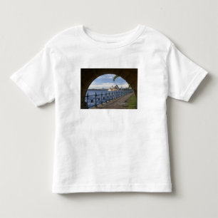 T-shirt Austrália, Nova Gales do Sul, Sydney, Pedra
