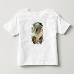 T-shirt Austrália, Queensland, Brisbane, Fig Tree