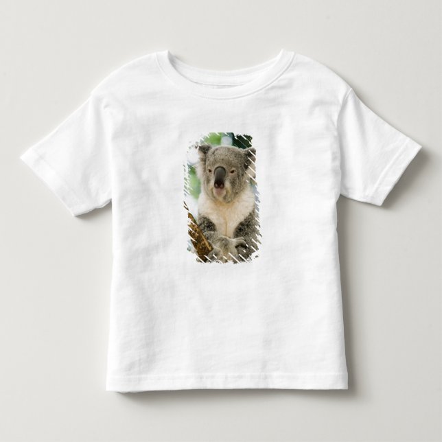 T-shirt Austrália, Queensland, Brisbane, Fig Tree (Frente)