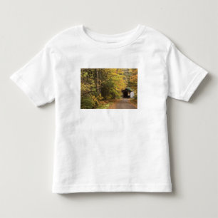 T-shirt Autumn, Vermont, EUA 4