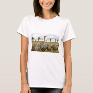 T-shirt avestruz