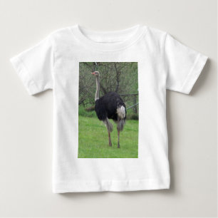 T-shirt Avestruz