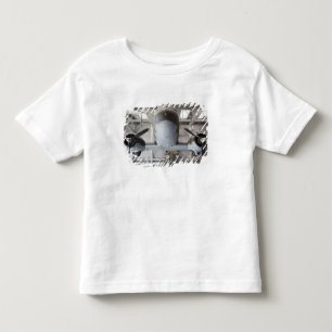 T-shirt avião de transporte C-47 Dakota da Segunda Guerra