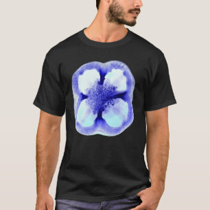 T-shirt azul da pimenta de Bell