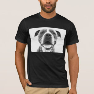 T-shirt azul de Pitbull do nariz