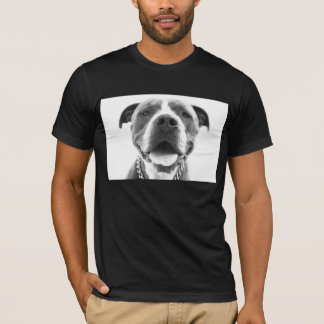 T-shirt azul de Pitbull do nariz