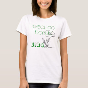 T-shirt B1A4 tentou andar T