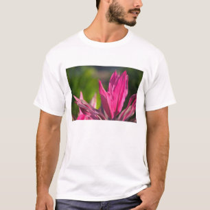 T-shirt BAHAMAS, Ilha de Nova Providência, Nassau: Paraíso
