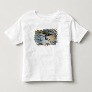 T-shirt Balance a pintura de um touro com chifres longos