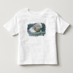 T-shirt Baleia Beluga, Delphinapterus leucas)