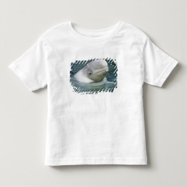 T-shirt Baleia Beluga, Delphinapterus leucas) (Frente)