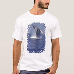 T-shirt Baleia-jubarte saltando (Megaptera