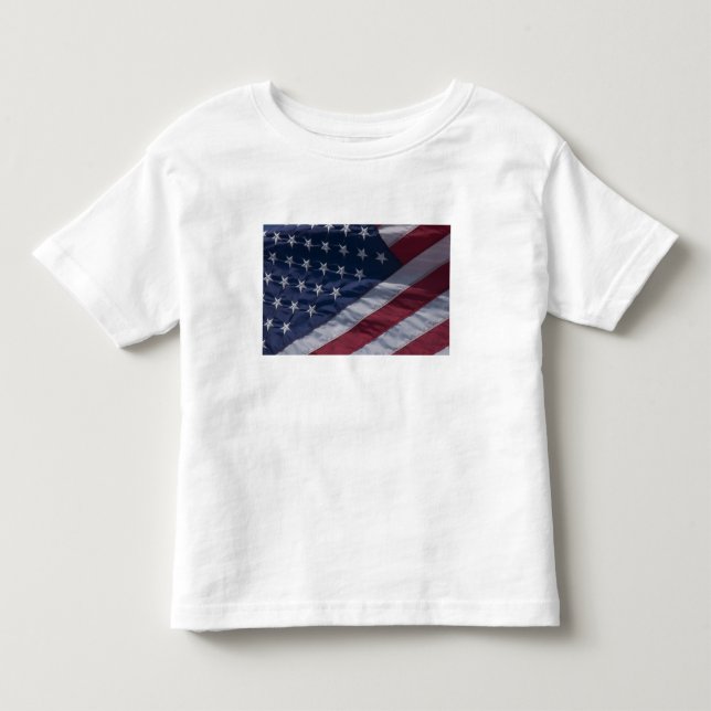 T-shirt Bandeira americana. (Frente)