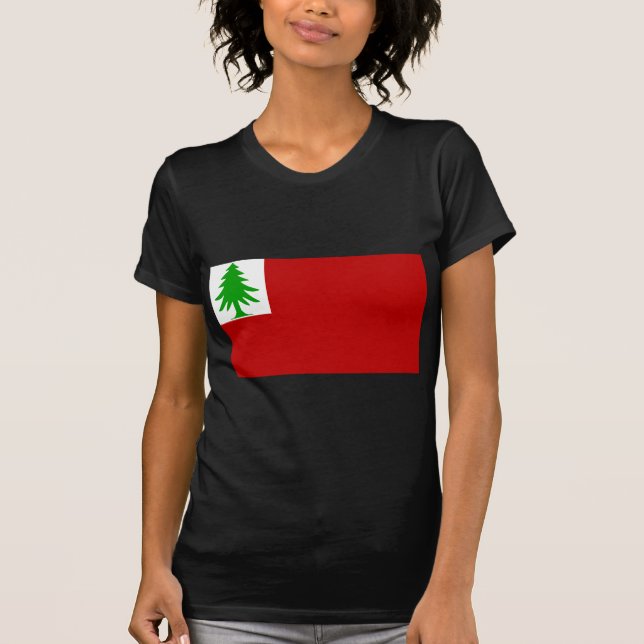 T-shirt Bandeira de Nova Inglaterra (Frente)