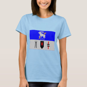 T-shirt Bandeira do län de Jämtlands