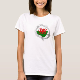 T-shirt Bandeira do orgulho de Galês das cores verdadeira