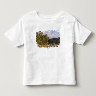 T-shirt Barcos de pesca, Soufriere, St Lucia, Caribe