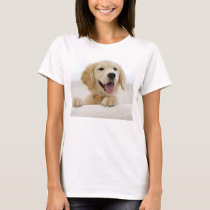t-shirt básica mulher cão golden retriever