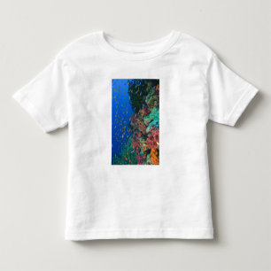 T-shirt Bassetes-Fadas Escolares (Pseudanthias