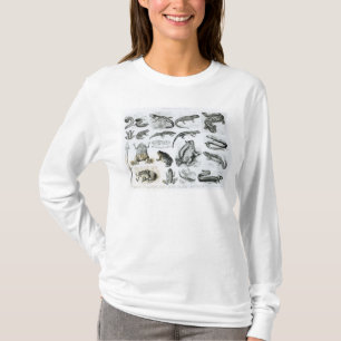 T-shirt Batráquios e outros anfíbios