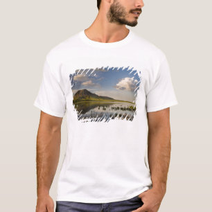 T-shirt Bear Butte se reflete no lago Bear Butte perto