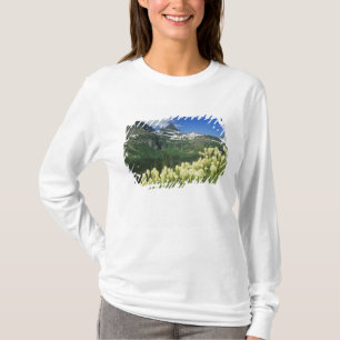 T-shirt Beargrass perto de Logan Pass no Parque Nacional G