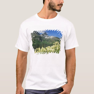 T-shirt Beargrass perto de Logan Pass no Parque Nacional G